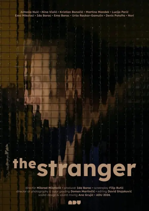 Постер до фільму "The Stranger"