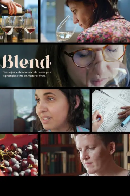 Постер до фільму "Blend"