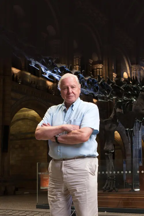 Постер до фільму "David Attenborough