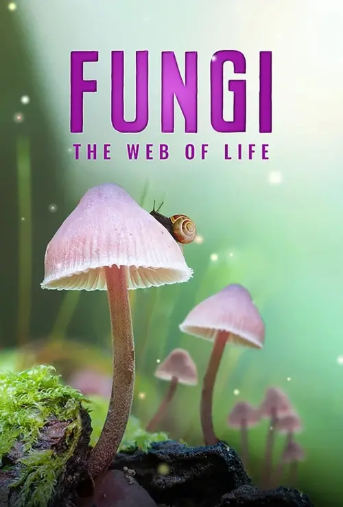 Постер до фільму "Fungi: Web of Life"
