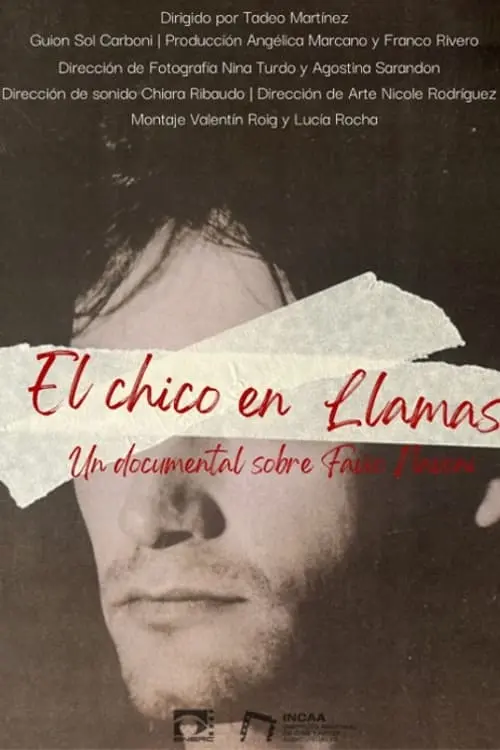 Постер до фільму "El chico en llamas"