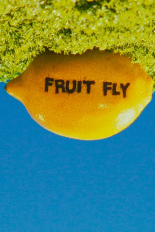 Постер до фільму "Fruit Fly"