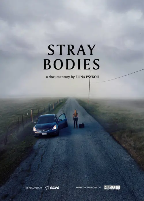 Постер до фільму "Stray Bodies"