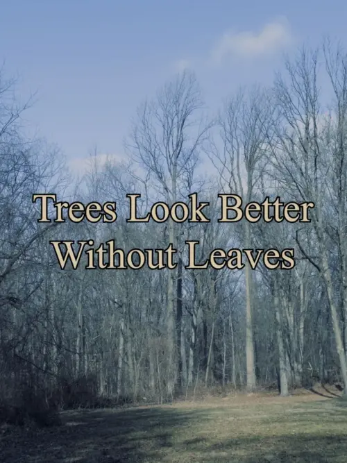 Постер до фільму "Trees Look Better Without Leaves"