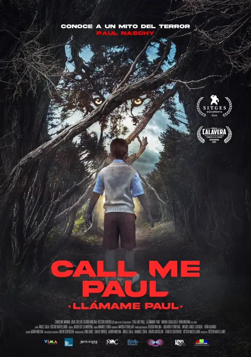 Постер до фільму "Call Me Paul"