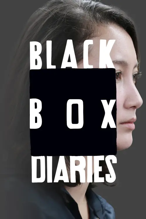 Постер до фільму "Black Box Diaries"