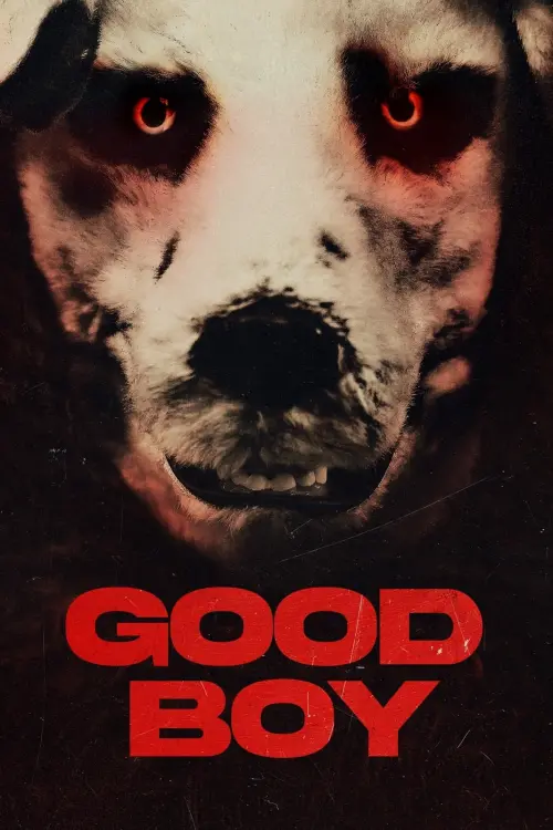 Постер до фільму "Good Boy"