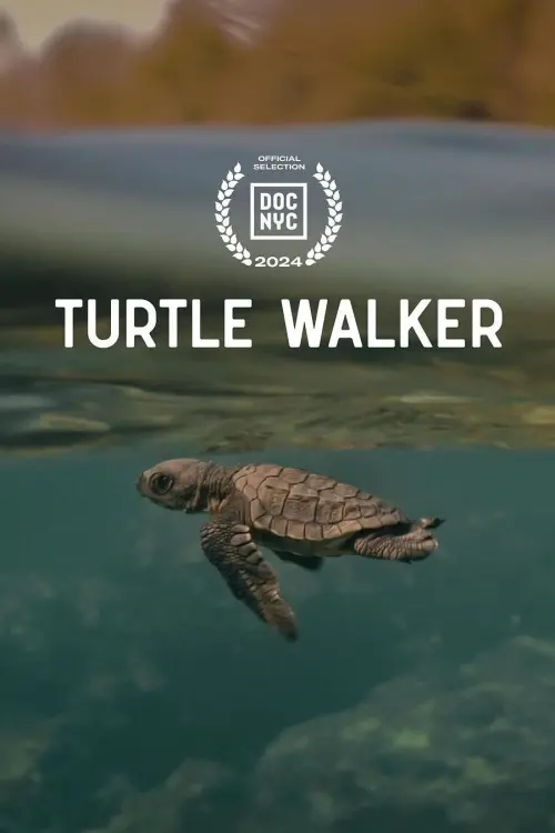 Постер до фільму "Turtle Walker"