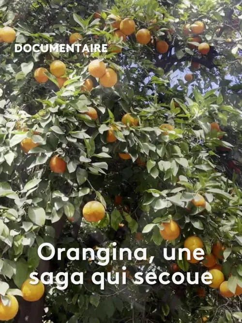 Постер до фільму "Orangina, une saga qui secoue"