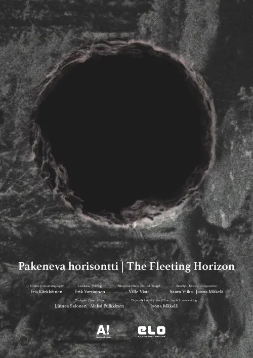 Постер до фільму "The Fleeting Horizon"