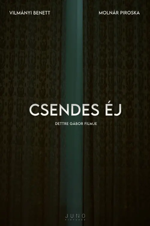 Постер до фільму "Csendes éj"