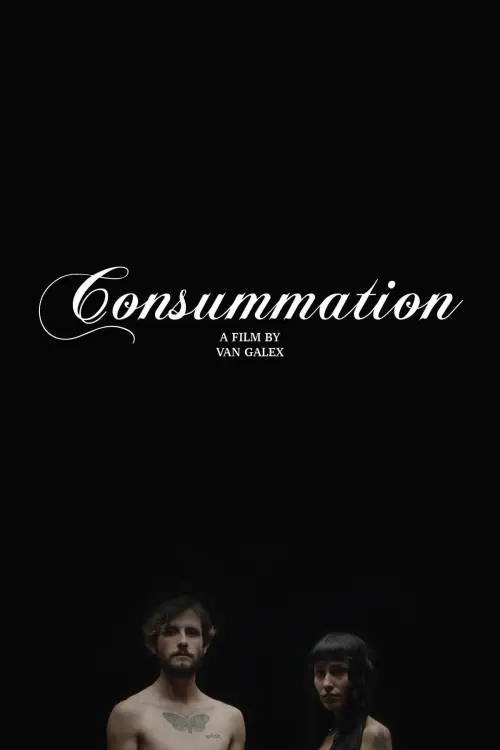 Постер до фільму "Consummation"