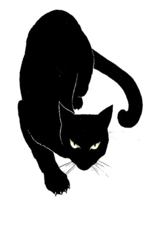 Постер до фільму "The Black Cat"