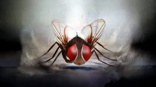 Відео до фільму Муха | Eega Theatrical Trailer - Rajamouli, Samantha, Nani, M.M. Keeravani