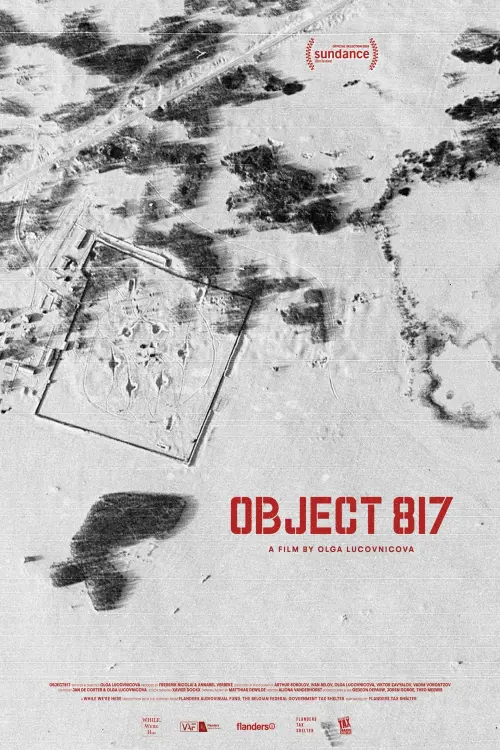 Постер до фільму "Object 817"