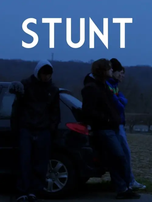 Постер до фільму "Stunt"