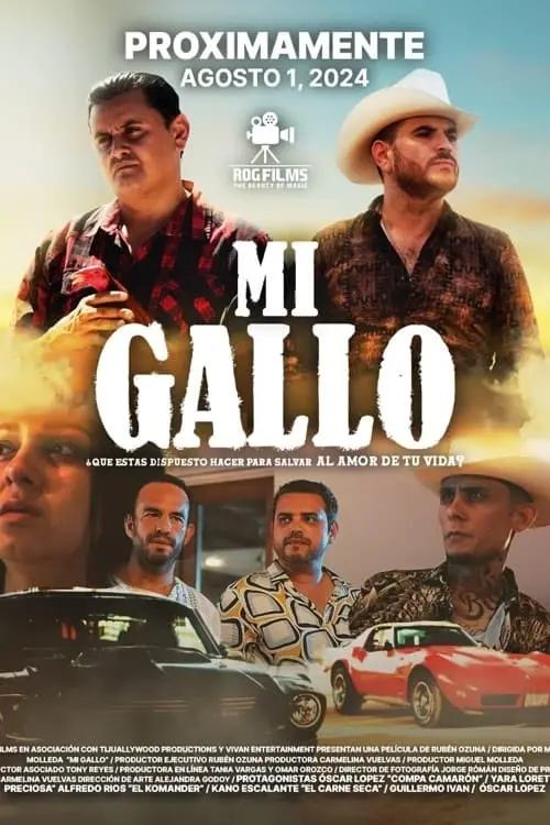Постер до фільму "Mi Gallo"