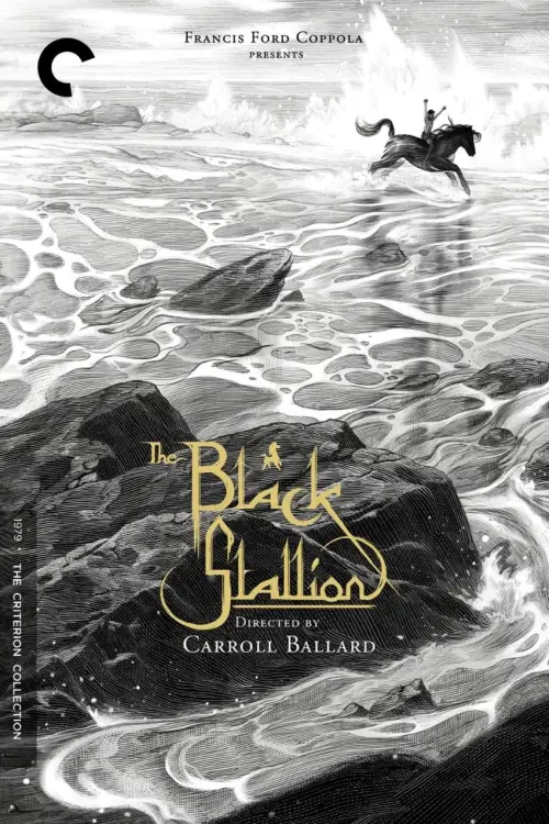 Постер до фільму "The Black Stallion"