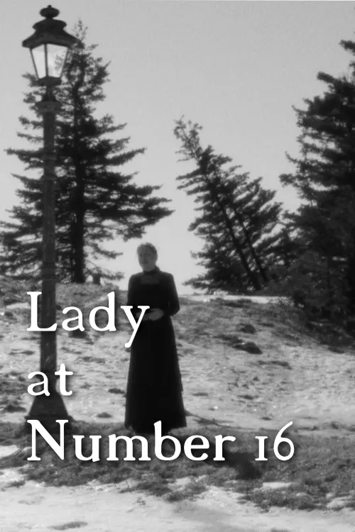 Постер до фільму "Lady at Number 16"