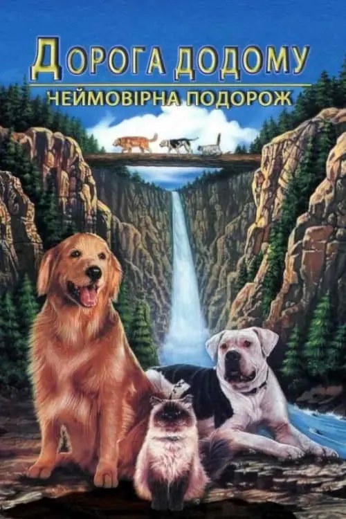 Постер до фільму "Дорога додому: Неймовірна подорож"