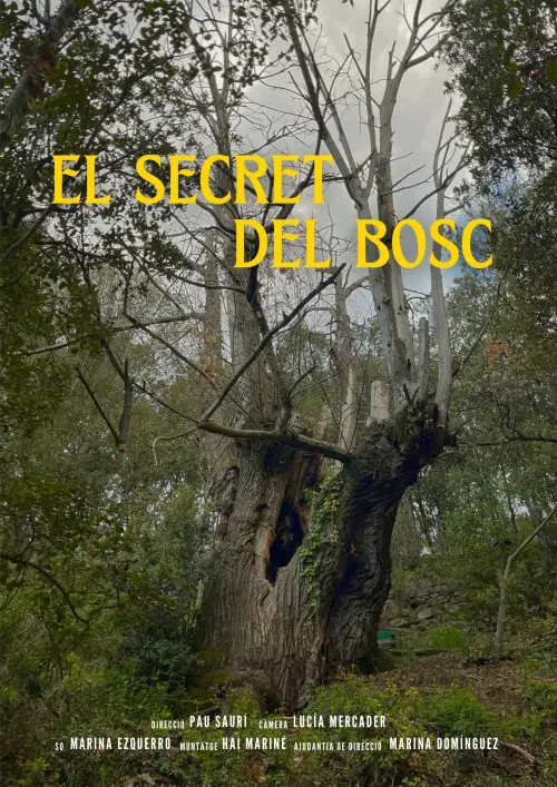 Постер до фільму "El Secret del Bosc"