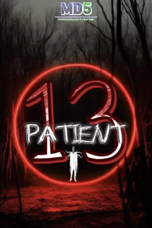 Постер до фільму "PATIENT 13"