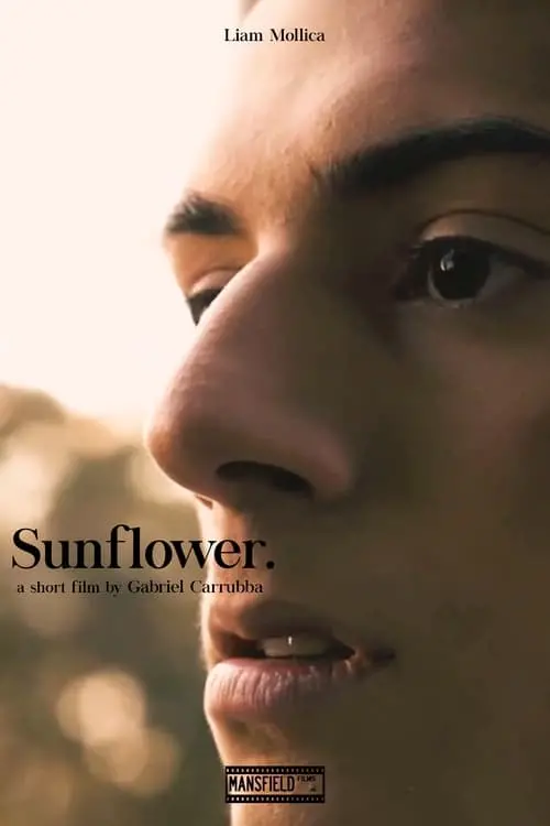 Постер до фільму "Sunflower"