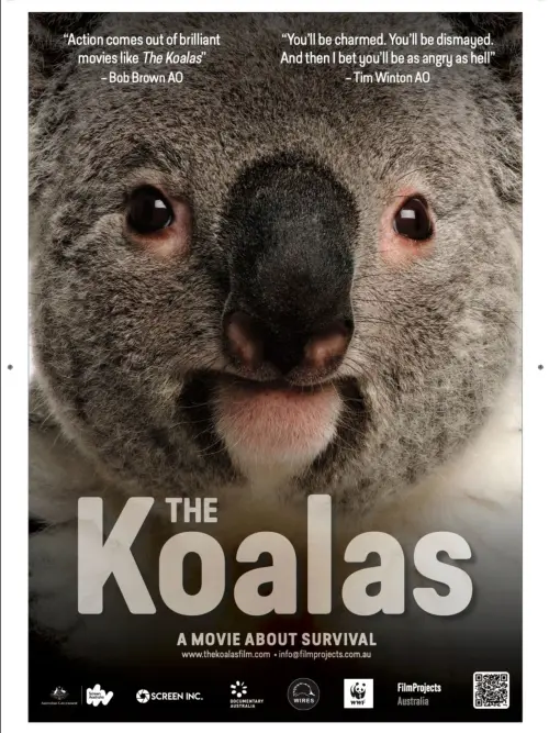 Постер до фільму "The Koalas 2024"