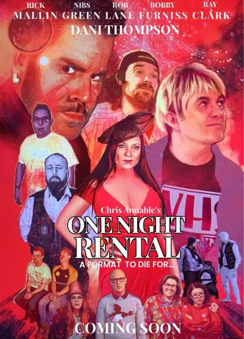 Постер до фільму "One Night Rental"