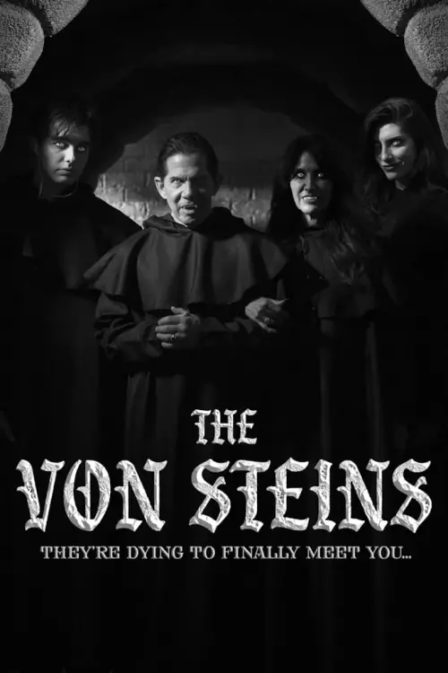 Постер до фільму "THE VON STEINS"