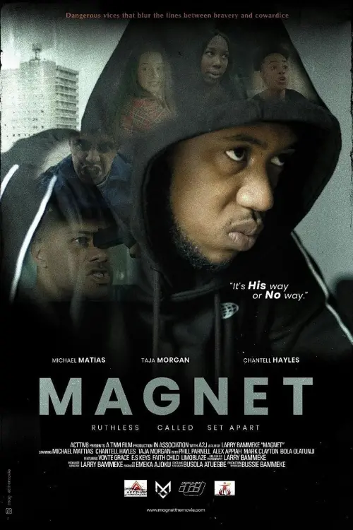 Постер до фільму "Magnet"