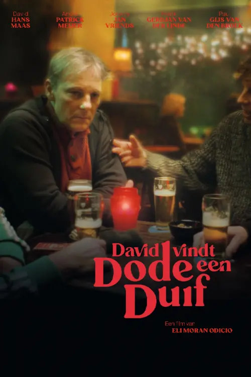 Постер до фільму "David Vindt Een Dode Duif"