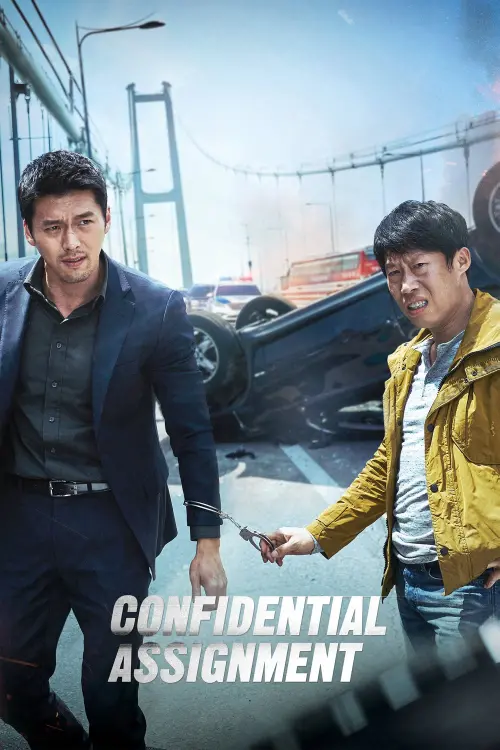 Постер до фільму "Confidential Assignment"