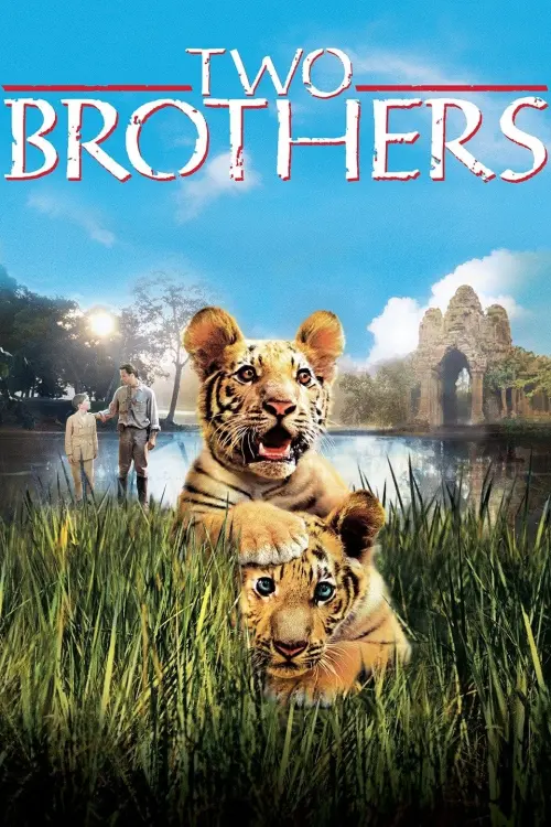 Постер до фільму "Двоє братів 2004"