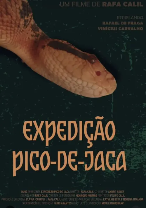 Постер до фільму "Expedição Pico-De-Jaca"