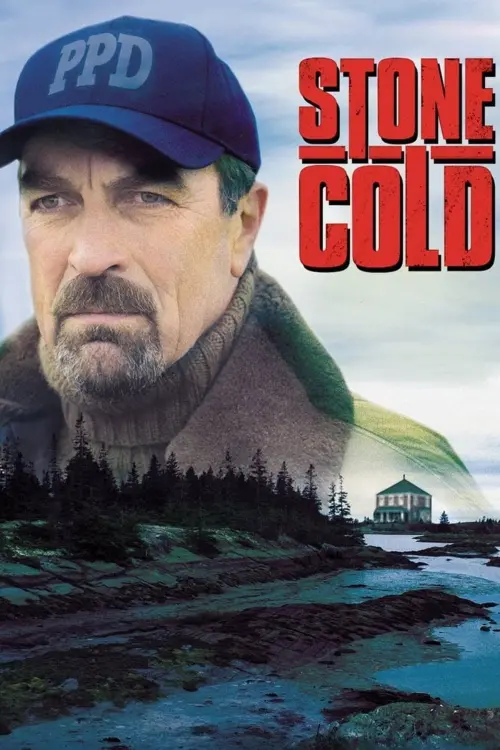 Постер до фільму "Stone Cold"