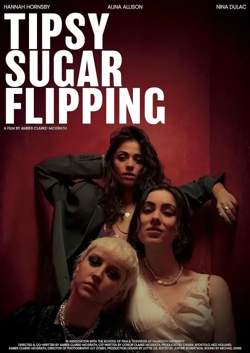 Постер до фільму "Tipsy Sugar Flipping"