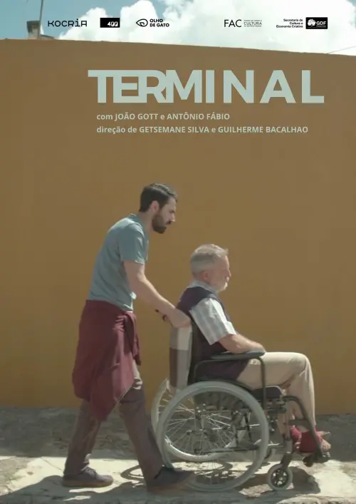 Постер до фільму "Terminal"
