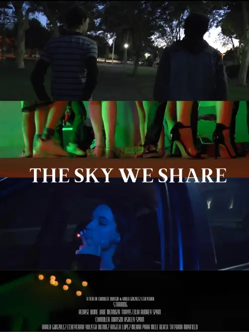 Постер до фільму "The Sky We Share"