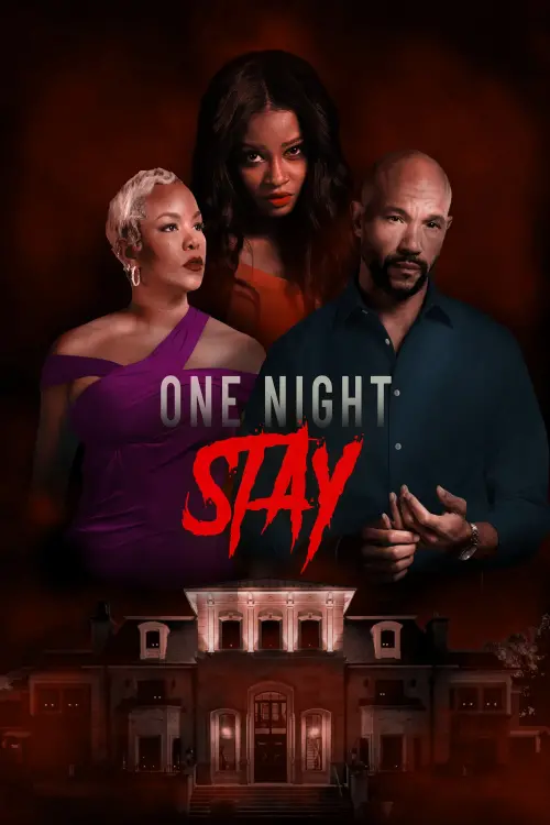 Постер до фільму "One Night Stay"