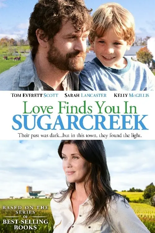 Постер до фільму "Love Finds You In Sugarcreek"