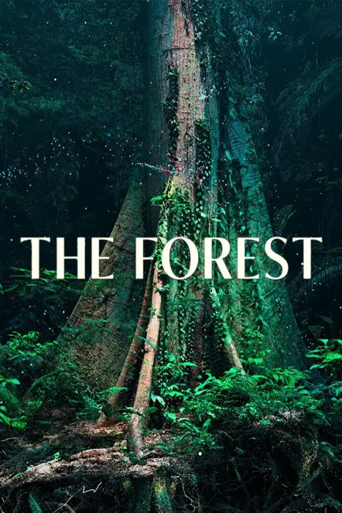 Постер до фільму "The Forest"