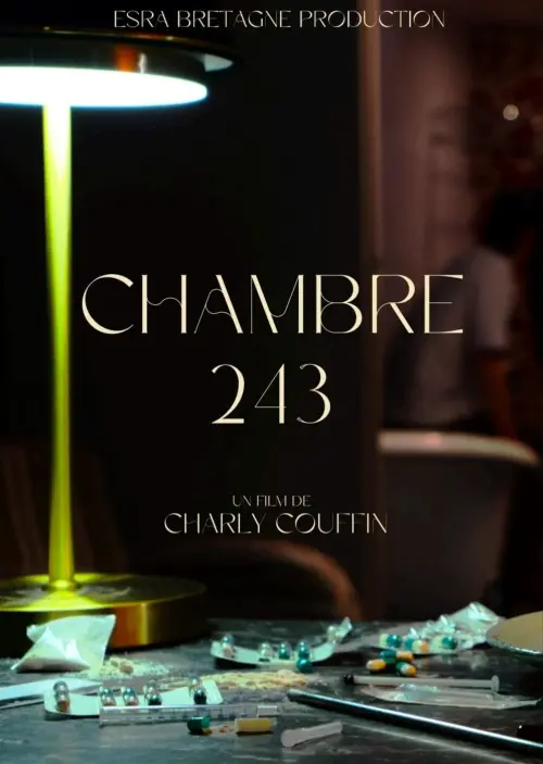 Постер до фільму "Chambre 243"