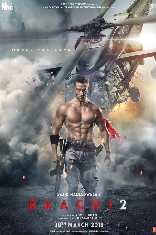 Постер до фільму "Baaghi 2"