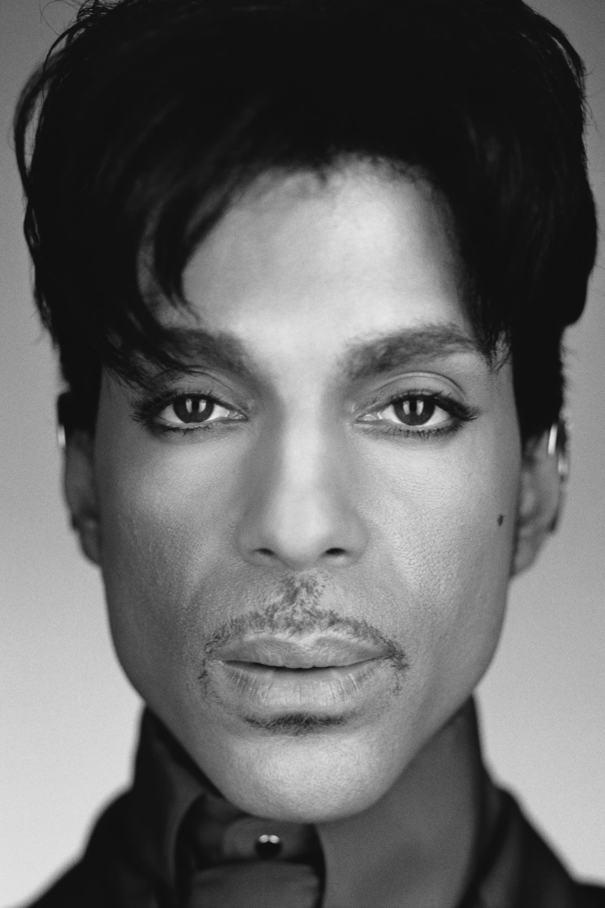 Фото Принц (Prince)