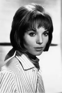 Фото Ельза Мартінеллі (Elsa Martinelli)