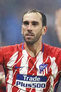 Фото  (Diego Godín)