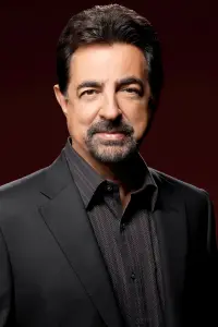 Фото Джо Мантенья (Joe Mantegna)