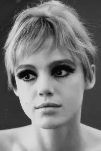 Фото  (Edie Sedgwick)