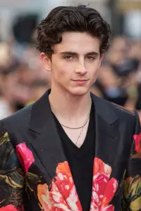 Фото Тімоті Шаламе (Timothée Chalamet)